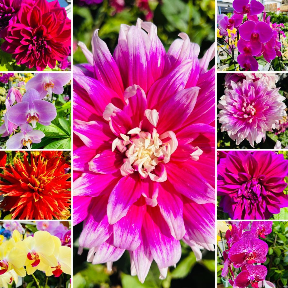 THE HOME DEPOT Updated October 2024 253 Photos & 347 Reviews 9150