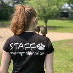 Whispering Winds Kennel
