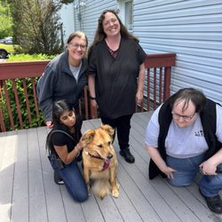 All Star Pet Resort