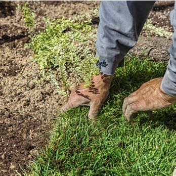 CCH Lawn Care - Landscaping Near Me