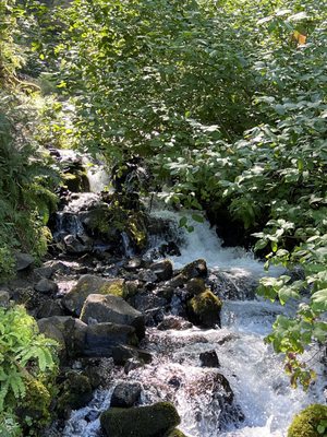 Multnomah Falls Lodge by null