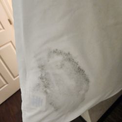 Candlewood Suites Sumter - Mildew pillows