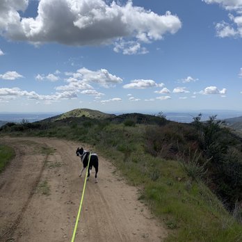 Mystic Canyon Hiking Trail - Hiking Near Me - Glendora, California Mystic Canyon Hiking Trail - Hiking Near Me - Glendora, California