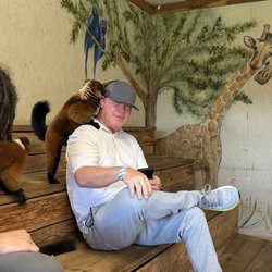 Zootastic Park - Red Leemer
