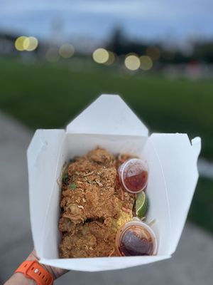 Son and Garden by null