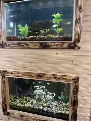 Cream City Social Eatery by null