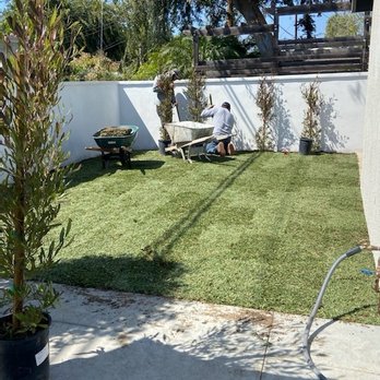 Uribe Construction - Finally have grass for our dogs as well - General Contractors Near Me Uribe Construction - Finally have grass for our dogs as well - General Contractors Near Me