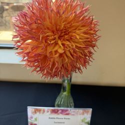 San Luis Obispo United Methodist Church - Single Dahlia