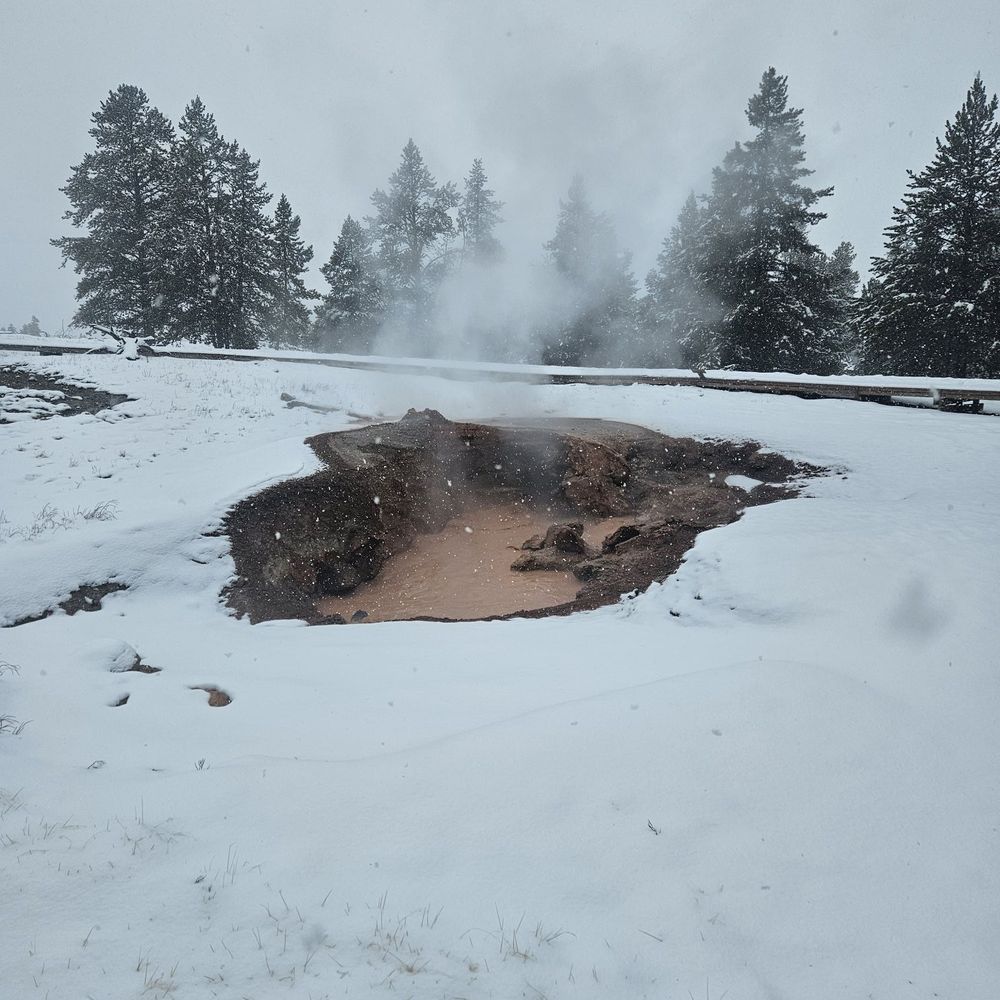 Yellowstone Vacation Tours - Tours Near Me - West Yellowstone, Montana Yellowstone Vacation Tours - Tours Near Me - West Yellowstone, Montana