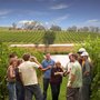 Photo of Australian Wine Tour Company
