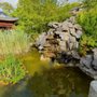Photo of Chinesisches Teehaus Yu Garden