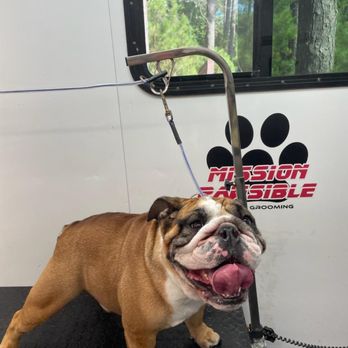 Mission Pawsible Grooming - Pet Groomers Near Me