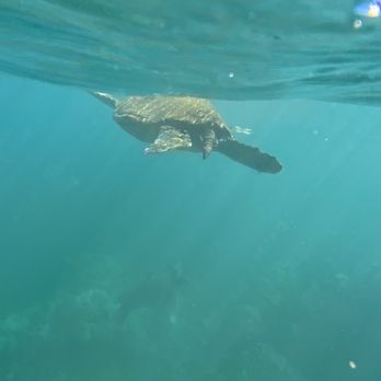 Maui Kayak Adventures - Rafting/Kayaking Near Me - Kihei, Hawaii Maui Kayak Adventures - Rafting/Kayaking Near Me - Kihei, Hawaii