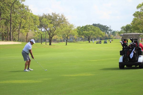 Palmetto-Pine Country Club by null