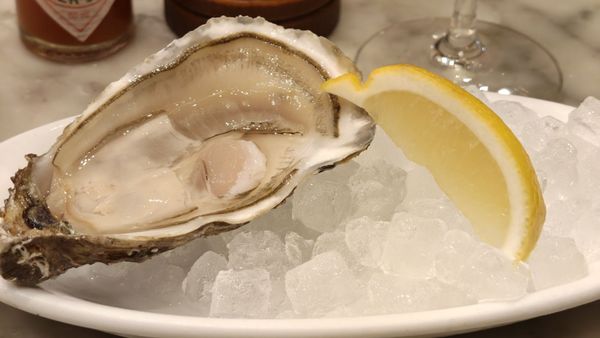 Bodega La Puntual by null