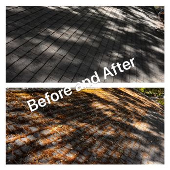 Sweep-N-Company Chimney Sweeping - Moss removal - Chimney Sweeps Near Me - Grass Valley, California Sweep-N-Company Chimney Sweeping - Moss removal - Chimney Sweeps Near Me - Grass Valley, California
