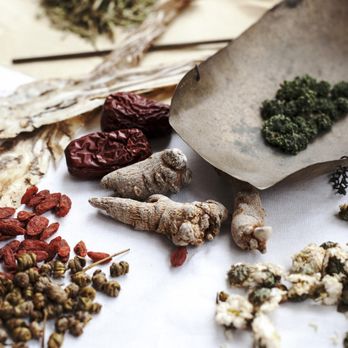 Wren Acupuncture - Herbal medicine - Acupuncture Near Me - Los Angeles, California Wren Acupuncture - Herbal medicine - Acupuncture Near Me - Los Angeles, California