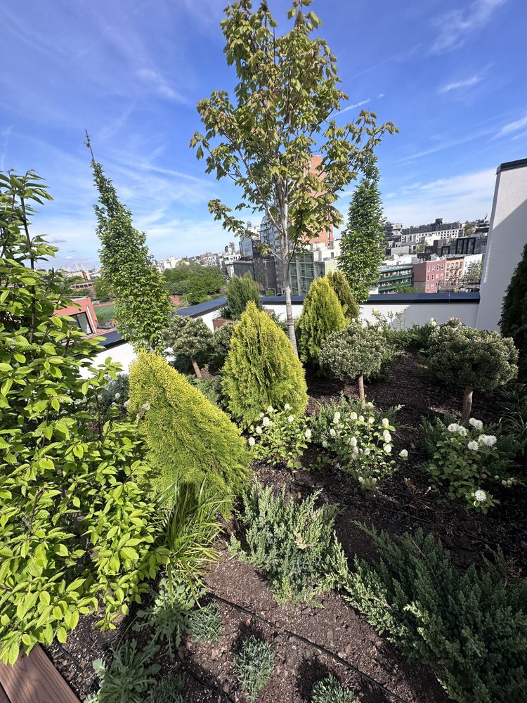 Slide of Ars Renovation