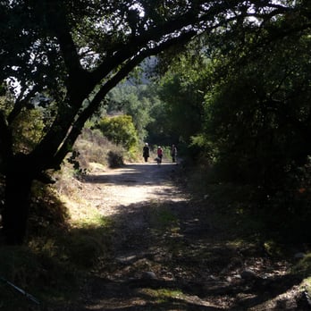 Las Virgenes Canyon - Sycamore trees on Las Virgenes Canyon Trail - Parks Near Me - Calabasas, California