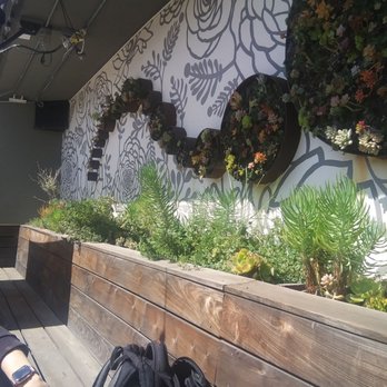 Aracely Cafe - The succulent wall - New American Near Me - San Francisco, California