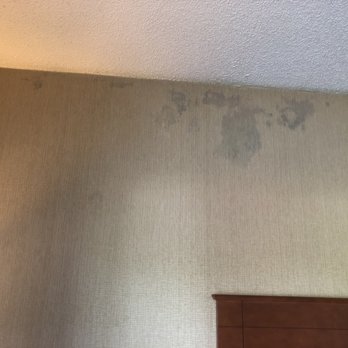 Baymont by Wyndham Franklin - Smoky and greasy residue on walls and mold growing everywhere - Hotels Near Me - Franklin, Kentucky Baymont by Wyndham Franklin - Smoky and greasy residue on walls and mold growing everywhere - Hotels Near Me - Franklin, Kentucky
