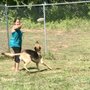 Photo of K9 R&R Pet Retreat