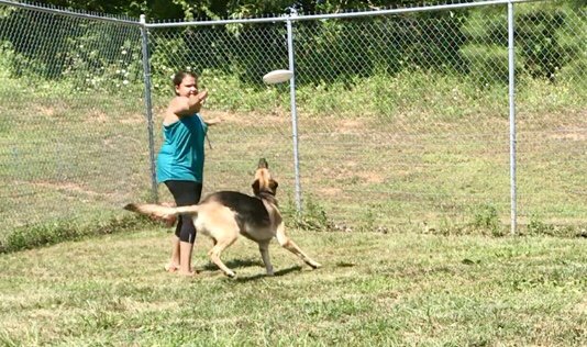 K9 R&R Pet Retreat Image