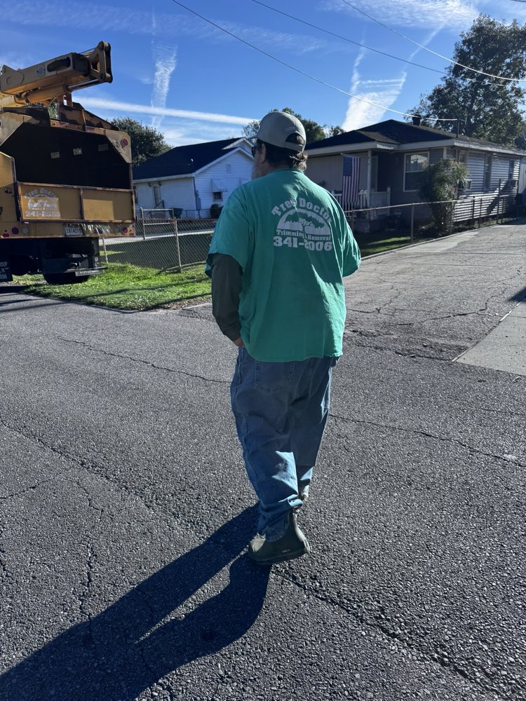 The Tree Doctor - tree service in Marrero, LA