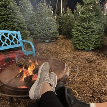 Whitfill Nursery - Absolutely love this Christmas tradition! - Nurseries & Gardening Near Me - Gilbert, Arizona
