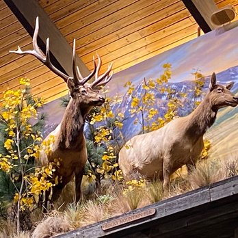 Cabela's - Guns & Ammo Near Me - West Chester, Ohio