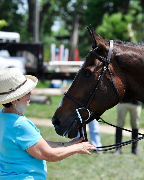 Dunham Woods Farm - equestrian in Elgin, IL
