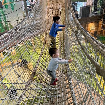 MUSEUM OF NATURAL CURIOSITY - Updated July 2025 - 150 Photos & 99