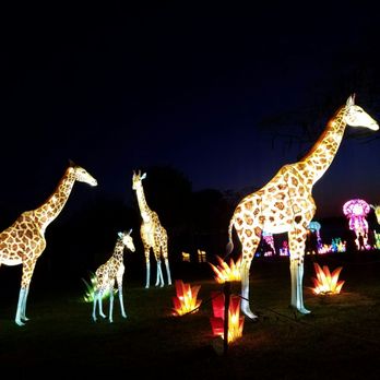 Chinese Lantern Festival - Festivals Near Me - Lauderhill, Florida