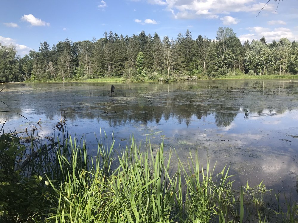 ROGERS ENVIRONMENTAL EDUCATION CENTER 18 Photos RR 80, Sherburne