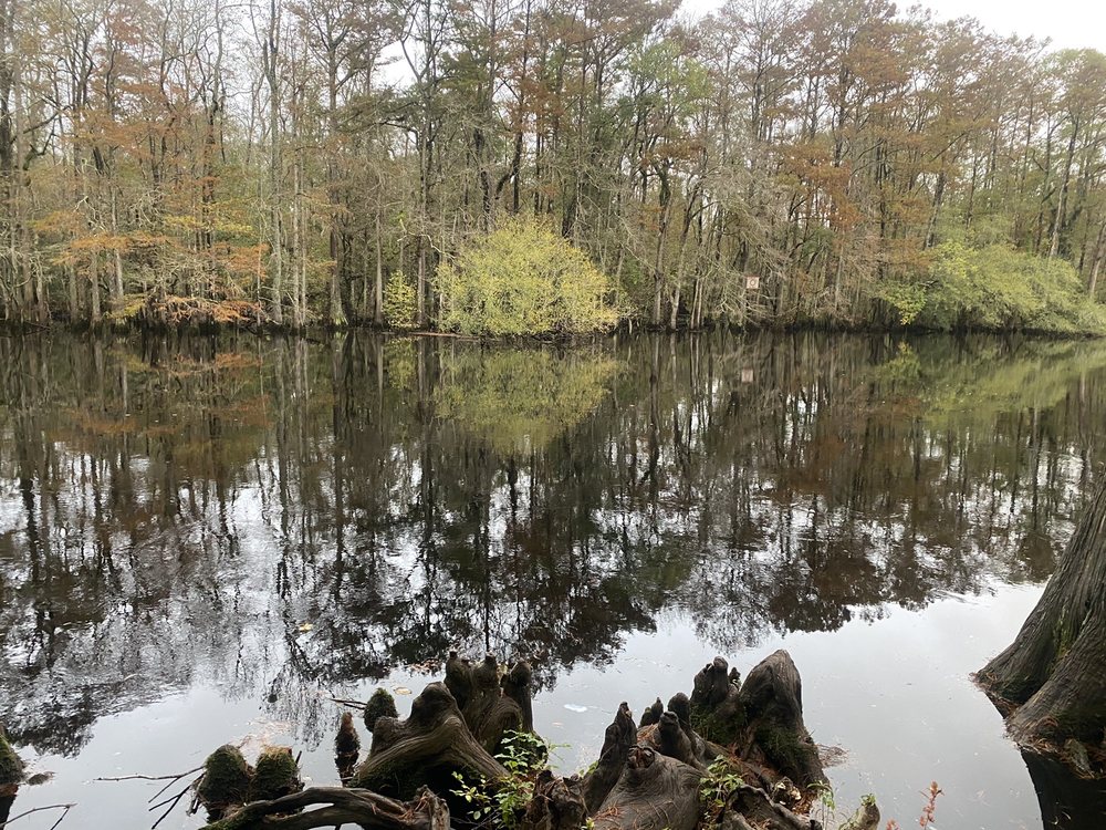 LUMBER RIVER STATE PARK Updated October 2024 24 Photos 2819