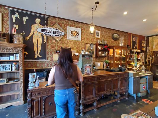 Bearded Lady Vintage & Oddities by null
