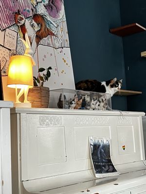 Romeow Cat Bistrot by null