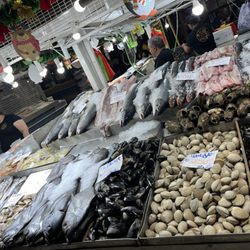 Fish Market