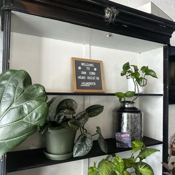 Hojas Tea House - Coffee & Tea Near Me - San Pedro, California Hojas Tea House - Coffee & Tea Near Me - San Pedro, California