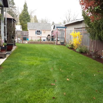 PC Landscape Services - a back yard with green grass - Landscaping Near Me PC Landscape Services - a back yard with green grass - Landscaping Near Me