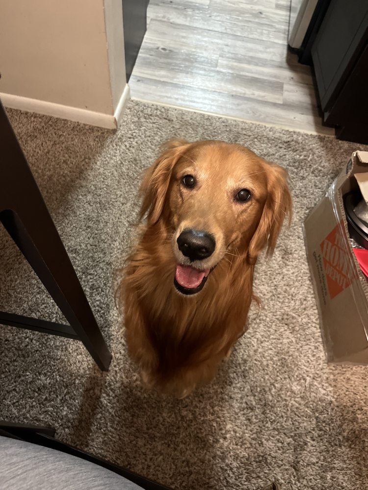 SOUTHEAST VETERINARY NEUROLOGY BOYNTON BEACH Updated October 2024