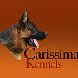 Carissima Kennels Pet Resort