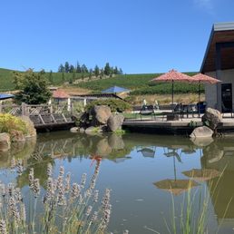 Some of the property with koi pond
