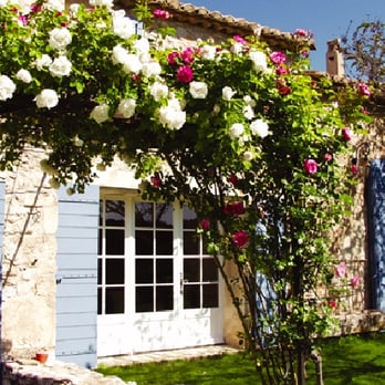 Le Mas de la Rose - le mas de la rose - French Near Me - Orgon, 13 Le Mas de la Rose - le mas de la rose - French Near Me - Orgon, 13