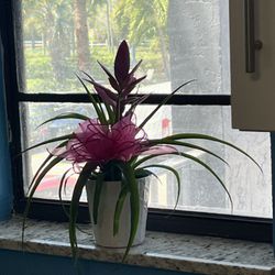 Dago's All Window Repair