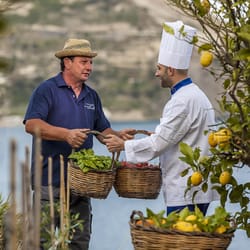 Miramare Sea Resort - Assaggia i veri sapori campani!  Taste the real Ischia cuisine!