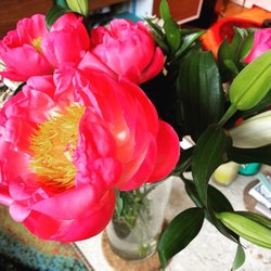 Heather's Flowers - Heathers flowers peony