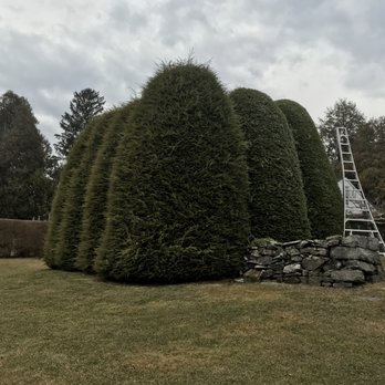 Smith Tree Works - Tree Services Near Me - Northfield, Connecticut