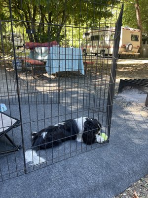 Twin Rivers Vacation Park