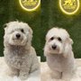 LA Pet Home